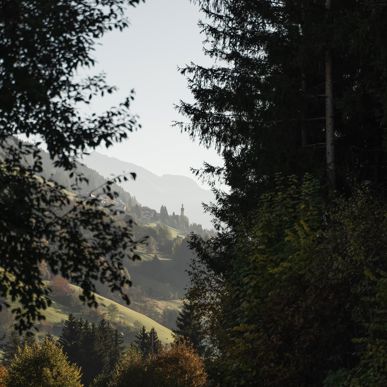 dsc08674-josefobexer