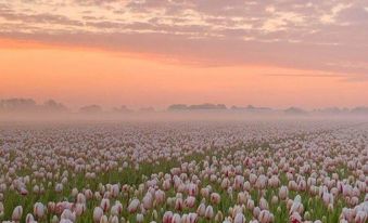 b35b0d6c2b9eb59e4bfb599850daf085