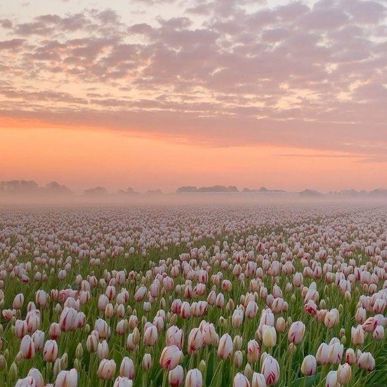 b35b0d6c2b9eb59e4bfb599850daf085