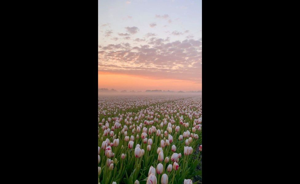 b35b0d6c2b9eb59e4bfb599850daf085